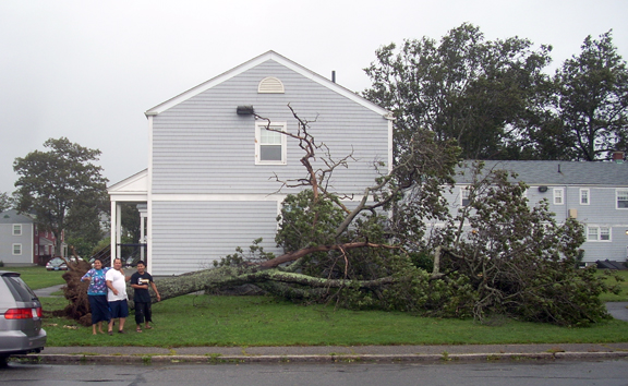 downed Tree on Dartmouth St New BEdford August 28, 2011 hurricane Irene - www.WhalingCity.net